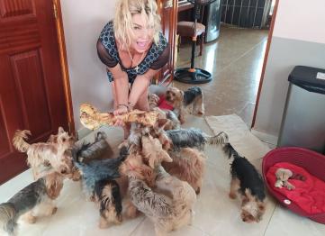 06782f44 Ade4 43d8 8216 0c760802ae5a