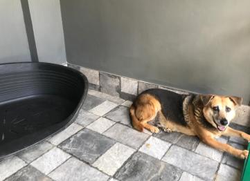 0ecbabdf A99c 4a52 9ba7 Fd33c6fbd27f