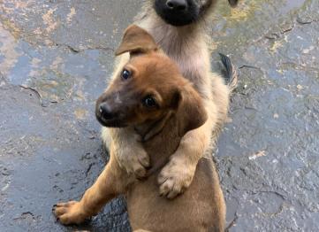 12baa626 2353 46ea 8fbe 258a05817999