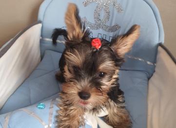 2607e893 365a 41b7 8df6 B32f524f34a0