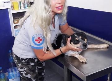 37189e7c 31f1 4c9e Ab0b 27ae18cc9348