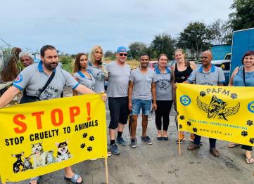 42a82e81 4f0e 414c 9fcf C60ca781b235