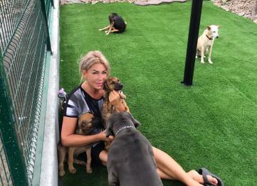 44277dd7 F229 4b81 9247 75644a3dc70f