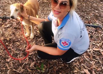 45b387d1 Bdd9 4226 B667 17280d98c708