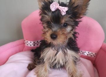 5c1df84e Bf01 444f 81ea 024119682457