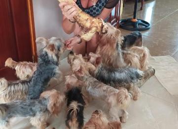 61c54989 70d2 4546 8afa 293e62405f8b