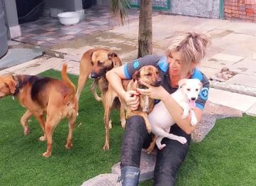 626e22de 4412 4907 9a1f Fc89e29eb1a3