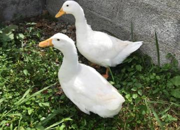 6907edb2 B3f1 4f12 Bb9d 7550fe605bdf