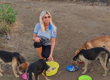 69155ad6 9a3e 43f2 8d2e 73bcd512ac19