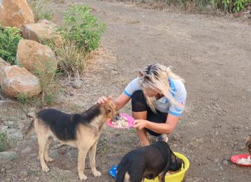 6ef3b969 29a7 466a 82bc 3a4d904d400a