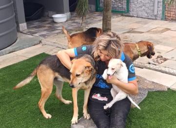 71689478 Af45 453e 8530 C1eb8f6effe5