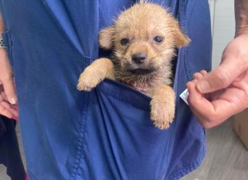 71ad5f2c 91ee 4952 Bbda 59abbb2d5c48 1