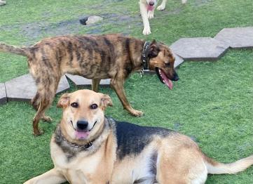 7bf8d0be 1c76 4533 A606 1a405553e9001