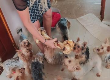 8afd9b25 2ebd 464f 9231 2cd0594bdc7a