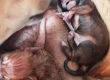 B90fa5fc 8b72 4ca6 Ada3 C89712992c02