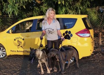 Bf2948b0 8a33 42cb B168 95c6057d448c