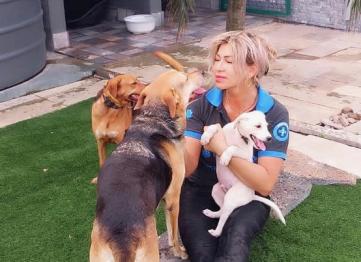 C8b41da6 A72b 4477 9a19 8868f5024a2a