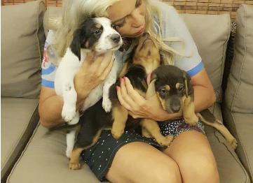 Cfdd4e88 1813 4a80 99e4 4306f2e6ced6