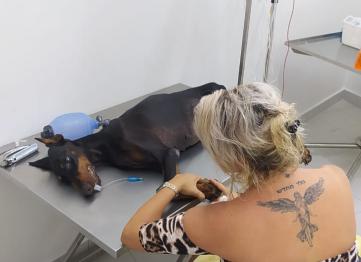 D7941d2b 79ac 43c9 9b51 A65bcff0f648