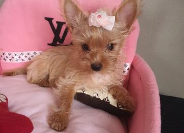 D7a55c80 6465 4614 B2a6 56155f65db02