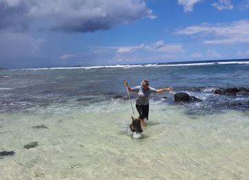 E148c8d5 A7ab 46a2 B885 64f0b3172856