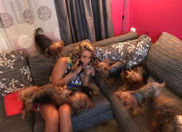 E4579ae4 5178 4b17 Be78 2a3428f548b6