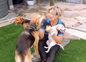 E69ea67d 1cdb 4e2e 8f2a Fc7186eb9b3a