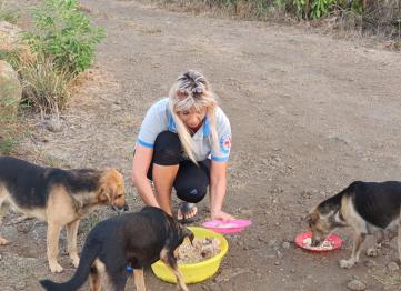 Ea16b378 Da43 4ea2 9996 3a4f10dd53f9