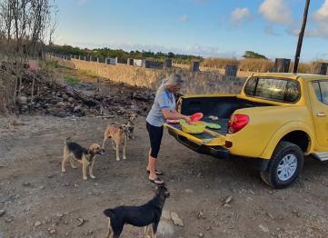 F017b171 A806 4d6e B8c3 Bca1edf54329