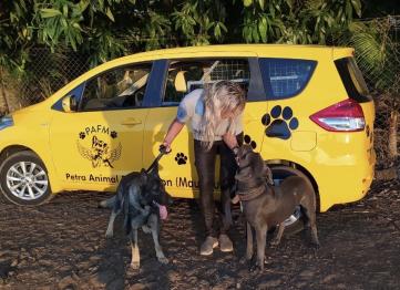 F2443100 1ec9 4e63 8206 B69bd376dbec