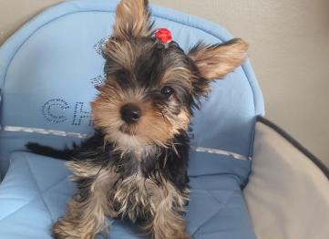 F87e553f Dc5b 4ae5 85ff 6ea752625fd4