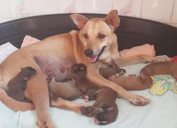 F9de5d6f 43ce 4c2d Bc05 B8a7e43d0e37