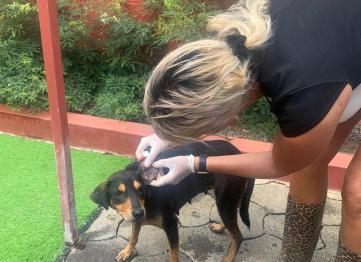 Fd6dd9d0 065d 4149 B8fb 6b1b02c25298