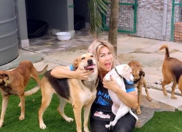 Fd850252 0f91 4306 B312 1343a8294bcf