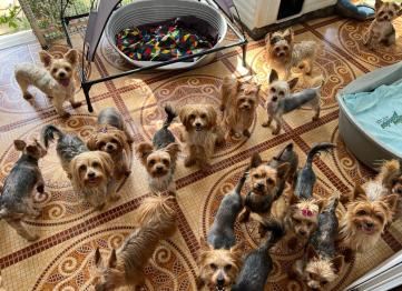 Ff1e810d Aaa8 4e87 B4aa 4d4223ba154a